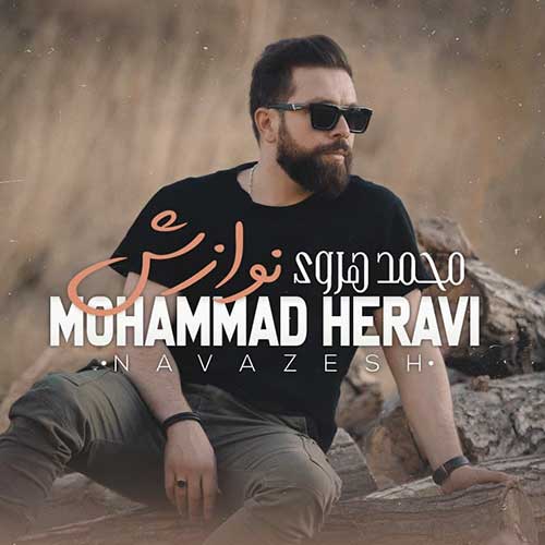 محمد هروی نوازش